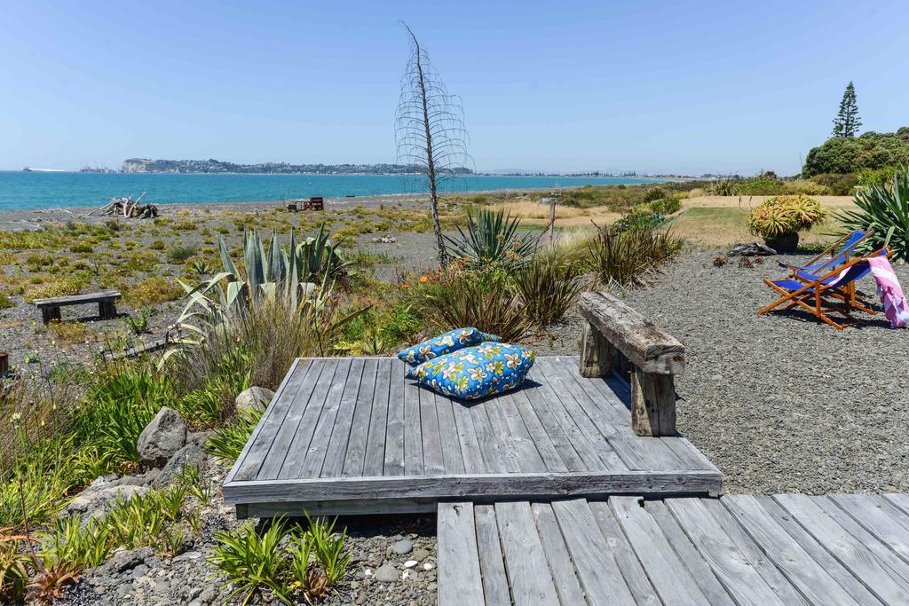 Absolute Beachfront B&B Napier Bagian luar foto